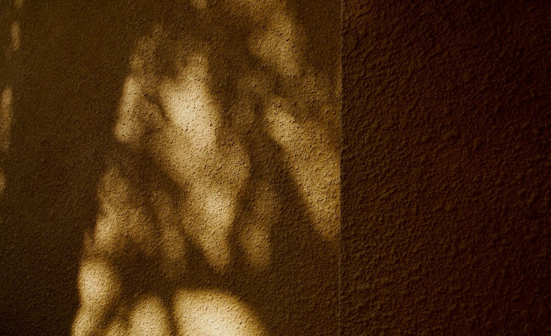 mysterious shadow on wall